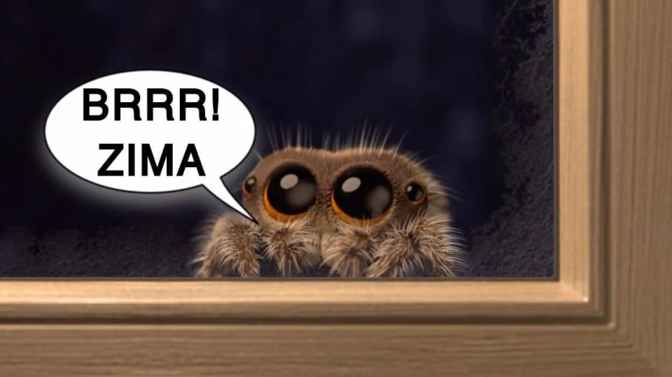 Roztomilý pavouk Lucas se vrací v druhém krátkém videu